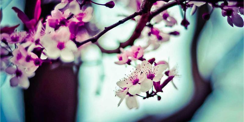 上海浩夏39：工业制冷与商用空调解决方案专家，赋能高效冷库安装与节能运维