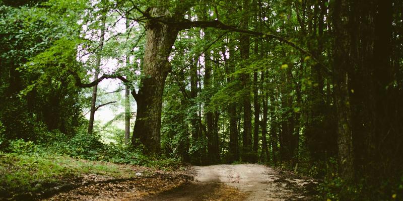 上海浩夏：VAV变风量系统如何通过精细化控制提升办公楼宇能效与设备维护水平