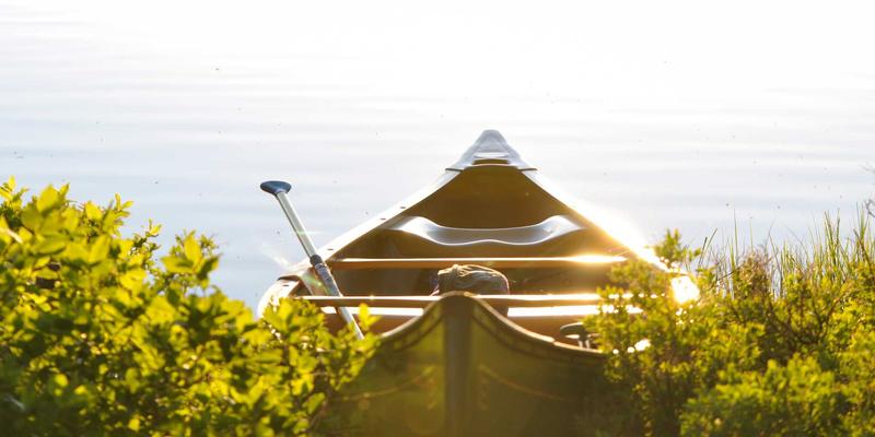 上海浩夏：专业工业制冷方案，打造葡萄酒恒温恒湿酒窖的守护者
