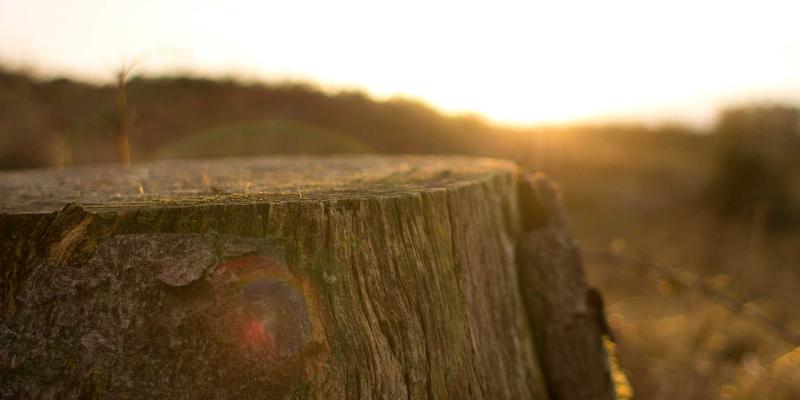上海浩夏：从冷库设计到自动化控制，打造工业制冷与空调工程的全链路解决方案