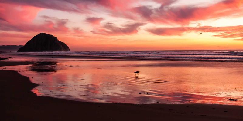 上海浩夏：以专业空调工程与设备维护，打造绿色低碳数据中心液冷与自然冷却解决方案
