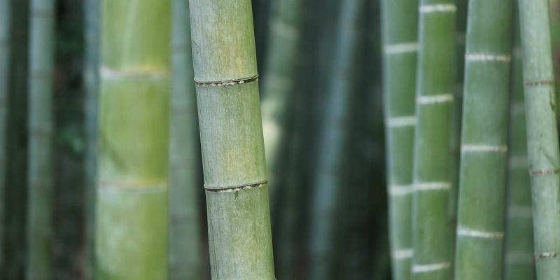 上海浩夏：以数字化设备维护重塑工业制冷新格局