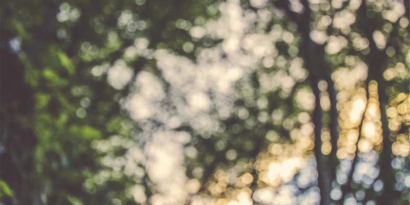 上海浩夏制冷设备维护团队：跨区域大型项目应急响应的专业之道