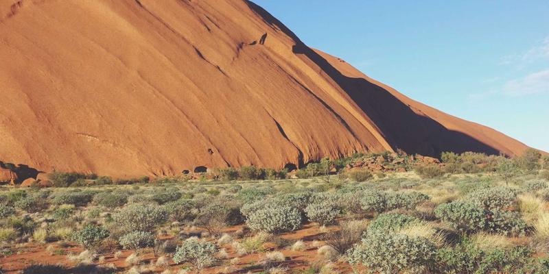 上海浩夏如何为食品加工企业设计符合HACCP标准的工业制冷与商用空调方案