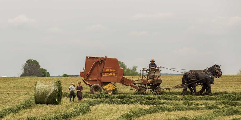 上海浩夏工业冷冻机组：化工工艺流程冷却的可靠保障与商用空调工程关键