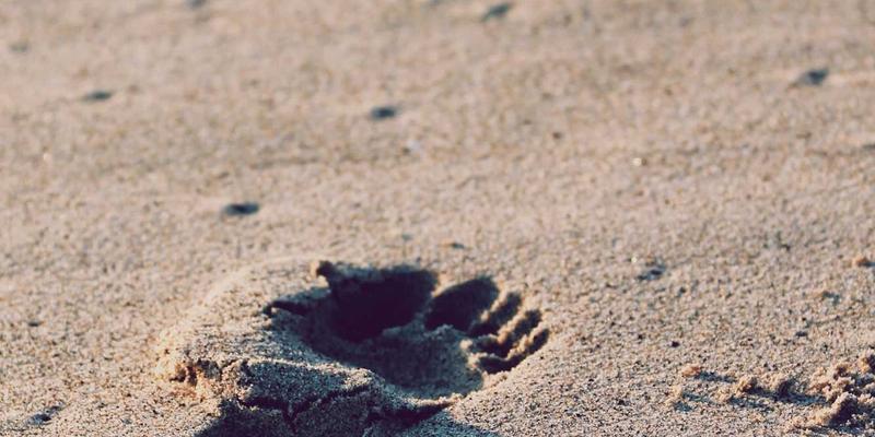 上海浩夏工业除湿机：锂电池生产车间低露点环境控制的关键解决方案