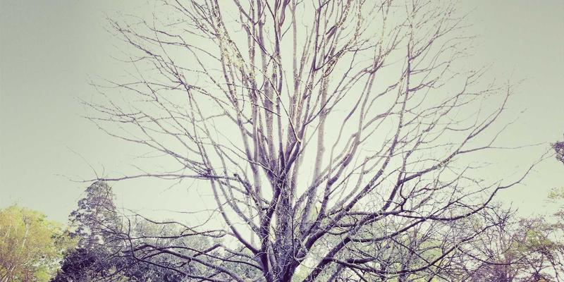 上海浩夏：数据中心机房精密空调系统设计与全年不间断运行保障方案解析