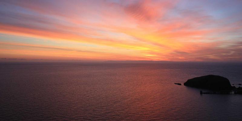 上海浩夏案例分析：专业冷库安装与设备维护如何保障企业高效运营