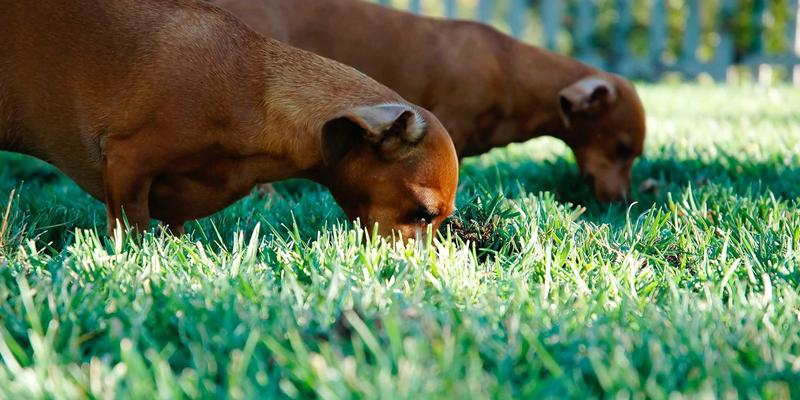 上海浩夏模块化洁净室空调机组：半导体行业精密环境控制的基石
