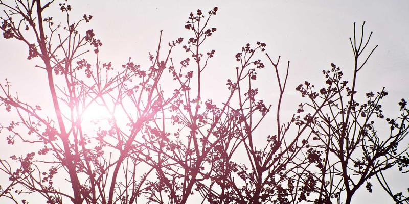上海浩夏：电子制造业无尘车间环境控制的关键技术，制冷设备与冷库安装如何保障精密生产