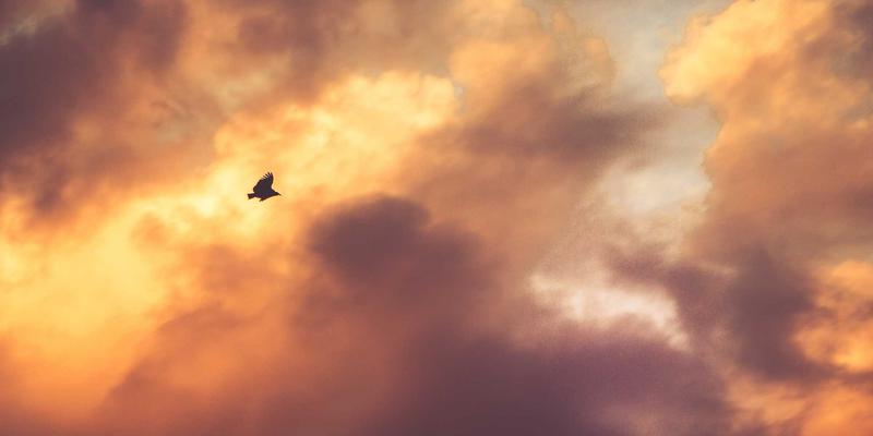 上海浩夏：解锁大型商超中央空调节能密码——智能控制与专业维护策略