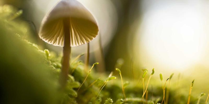 上海浩夏高效机房（ECO）整体解决方案：从冷库安装到工业制冷的能效实践