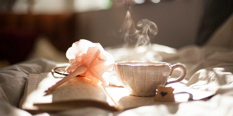 专业解析：上海浩夏在工业制冷与空调工程领域的售后服务与技术支持究竟如何？