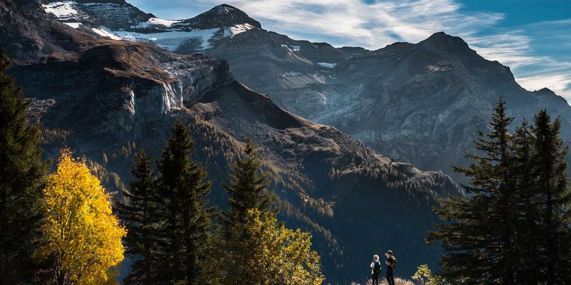 专业解析：上海浩夏如何通过制冷系统集成打造高效冷链物流中心 | 冷库安装与工业制冷实践